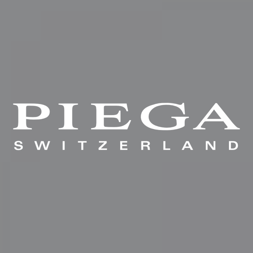 unser Audio Hersteller Piega im smartraum in Karlsruhe